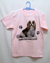 キャバリア柄の半袖Tシャツです