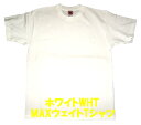 特別セール送料無料今だけ399円TシャツMサイズ【半額以下】【送料無料】【福袋】