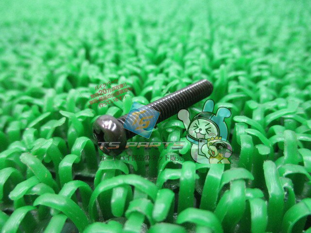 NSR50 エアクリーナースクリュー 在庫有 即納 ホンダ 純正 新品 バイク 部品 車検 Genuine フュージョン CB1000SF レブル リード110 GB400TT ゴールドウイング スペイシー250フリーウェイ ワルキューレ パル ブロス スペイシー80 MB-5 98