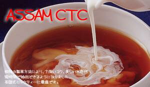 インド紅茶：2012年ASSAM CTC「アッサムCTC」(100g)煮出し向き紅茶【送料無料：メール便】【CTC製法】CRUSH（押しつぶす）TEAR（引き裂く）CURL（粒状に丸める）抽出時間が短く、茶液を濃く抽出でき濃厚な仕上がり
