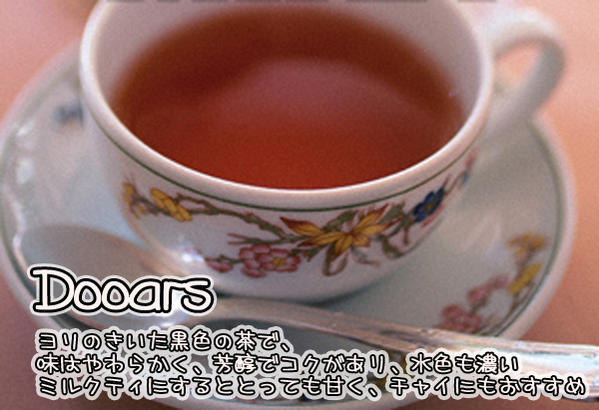 インド紅茶：2012年ドアーズCTC・アタル茶園(100g)【送料無料：メール便】【CTC製法】CRUSH（押しつぶす）TEAR（引き裂く）CURL（粒状に丸める）抽出時間が短く、茶液を濃く抽出でき濃厚な仕上がり