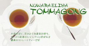 【送料無料：メール便】セイロン紅茶：2011年ヌワラエリア・トマゴン茶園クオリティーBOP(100g)