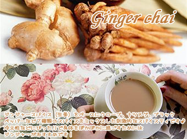 【スパイスティ】心も身体もぽっかぽか生姜チャイ：GingerCHAI「ジンジャーチャイ」(100g)【送料無料：メール便】