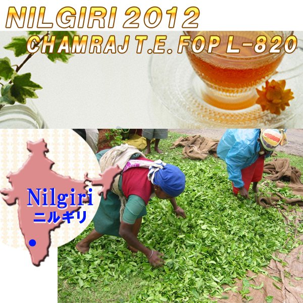 インド紅茶：2012年ニルギリトップクオリティ-・チャムラジ茶園l-820FOP(50g)【送料無料：メール便】