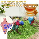 インド紅茶：2012年ニルギリトップクオリティ-・チャムラジ茶園l-820FOP(100g)【送料無料：メール便】