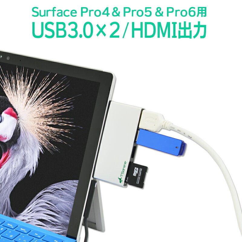 Surface Pro4 & Surface Pro 5 (2017f) & Surface Pro 6 (2018f) p USB3.0 nu [Mini DisplayPort  HDMI ϊ / SD microSD |[g]