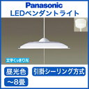 パナソニック Panasonic 照明器具LEDペンダントライト 昼光色 スイッチ付LSEB3002LE1【〜8畳】