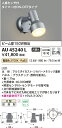 ★【当店おすすめ!お買得品】コイズミ照明 照明器具アウトドアライト LEDスポットライト 人感センサ付タイマー付ON-OFFタイプビーム球150W相当 電球色 非調光 広角AU45240L