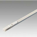 テス・ライティング LEDディスプレイライト 棚下照明用部材ラインコンセント 900mmタイプRC-0900W