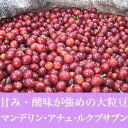 マンデリン アチェ ルクプサブン(200g)/ハーブ系の香りを持つワンランク上の味わい