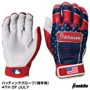 【あす楽対応】<メール便対応>フランクリン(Franklin) 21651 バッティンググロ