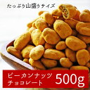 大容量ピーカンナッツ一度食べたら止まらない!ピーカンナッツをたっぷり堪能!