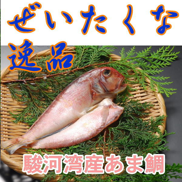 あま鯛干物【地物】（受注生産）...:tsuchiwa:10000213