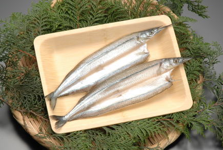 満天青空レストラン 3 13春の魚サヨリ 茨城県日立市の さより 細魚 の干物ひものが紹介 お墨付き