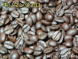【送料無料・30％オフ】キリマンジャロ -タンザニアAA- 1．25KG（250g×5袋） [お得なセール商品]キレのある酸味と豊かなコクレギュラーコーヒー豆