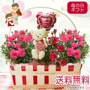 母の日 カーネーション 鉢植 セット 花 ギフト 送料無料【風船ピックとモフモフ♪クマちゃんトピアリー鉢花寄せカゴセット】バラ 鉢植えセット 鉢植え 女性 母【楽ギフ_メッセ入力】【RCP】【HLS_DU】【P25Apr15】