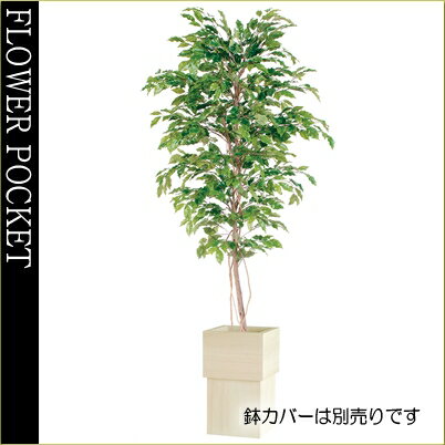 【送料無料】人工樹木ベンジャミナスプラッシュ高さ2.0m(ケ9）大幅割引！
