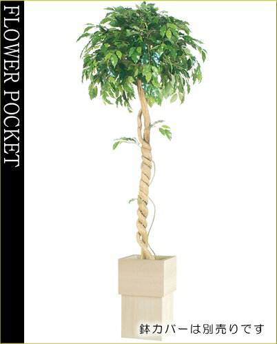 【送料無料】人工樹木(CT触媒加工)フィッカスベンジャミナシングル高さ1.8m(ケ9）