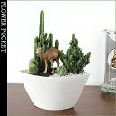 サボテン 動物【モダンスタイルF-2 ジオラマサボテンシリーズ恐竜&アニマル(電磁波吸収サボテン セレウスペルヴィアナス)】観葉植物 インテリア アジアン 新築祝い 開店祝い 引越し祝い 誕生日 結婚記念日 退職祝い 歓迎 送別会【BX100】