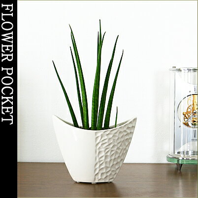 ڿ͵Υå奤ƥꥢߥˡ ۤˡۥǥˤ礤֤ܥƥ¿ʪåԥ̵󤻿󥵥ܥƥ󡡥󥹥٥ꥢХꥹߥɡʥ˥塼롪ȭˡڳڥ_ۡڳڥ_åϡۡڳڥ_Τۡڥå̵ۡڥǥå塪