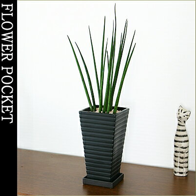 Υ󥹢͵Υå奤ƥꥢ åԥ̵ȥԥ󥹥٥ꥢХꥹߥɡ極(ѷƫȭο٤ޤˡڳڥ_ۡڳڥ_åϡۡڳڥ_Τۡڥå̵ۡڥǥå塪ȥԥ