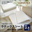 LOHATEX ラテックスシート(厚さ2...