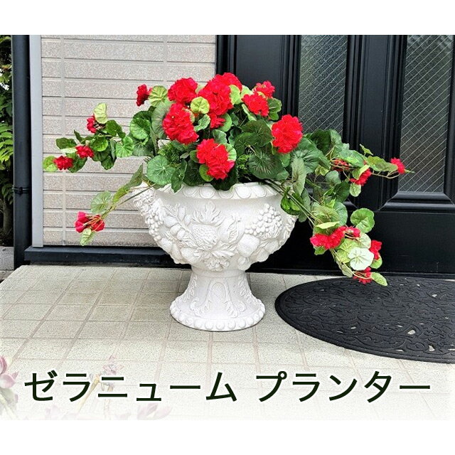 【個人様購入可能】●ゼラニューム プランター ［ cck-540 ］ 送料無料 93819