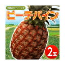 沖縄産 ピーチパイン2玉(1玉約600g) frt