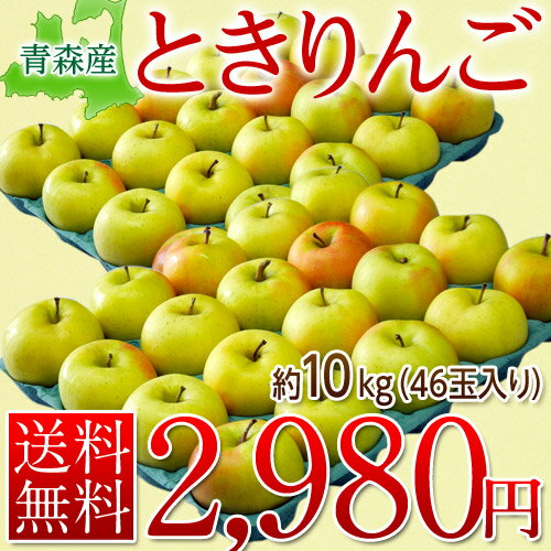 《送料無料》青森産 　「ときりんご」 46玉入り 約10キロ緊急スポット！