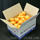 《送料無料》JAからつ 超小粒ハウスみかん 約2キロ×2箱 frt ☆