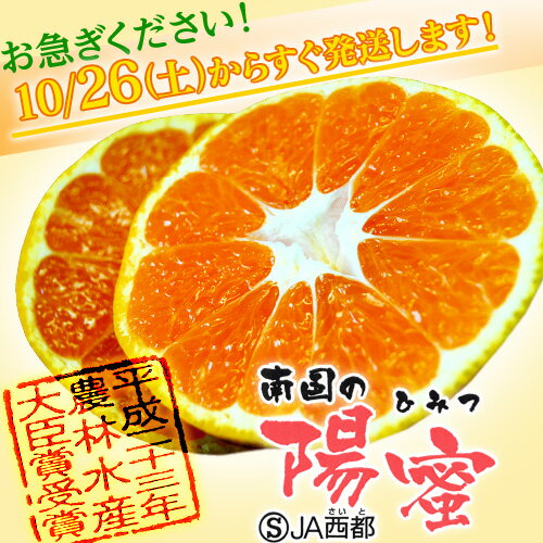 《送料無料》宮崎産　みかん「南国の陽蜜（ひみつ）」約2.5kg（2L〜2S）