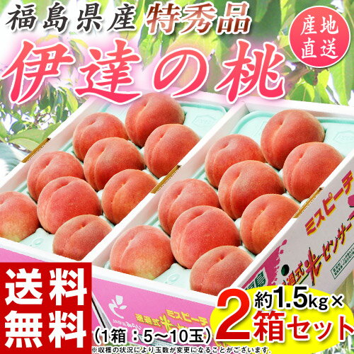 《送料無料》福島県産 「伊達の桃」　特秀品　約1.5kg×2箱(1箱：5〜10玉) frt ☆