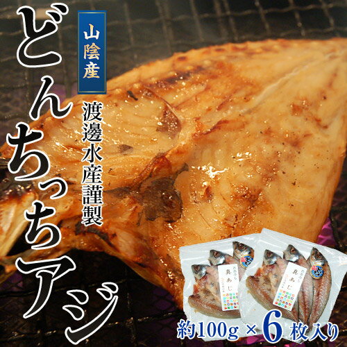 山陰 どんちっち　あじ開き 3枚×2パック　冷凍　【食彩】　干物　sea　○ ランキングお取り寄せ