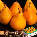 送料無料 『西洋梨 オーロラ』 山形県産...