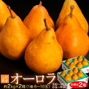 送料無料『西洋梨 オーロラ』 山形県産 約2kg×2箱 (1...