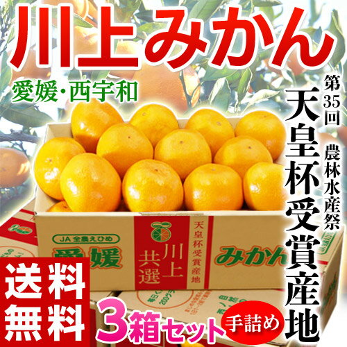 《送料無料》【天皇杯受賞産地】愛媛・西宇和「川上みかん」大玉2Lサイズ 約3kg×3箱　合計9kg　お歳暮 冬ギフト frt ☆