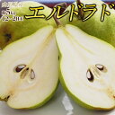 送料無料 洋なし 山形産 西洋梨「エルドラド」約5kg 12...