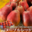 送料無料 洋ナシ 洋梨 洋なし 紅色に染まる西洋梨「メープル...