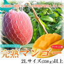 北海道産 「神内ファーム21 完熟マンゴー」 2Lサイズ(350g)以上 ※冷蔵 frt ○