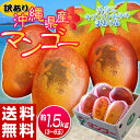 《送料無料》訳有り『沖縄産マンゴー』　大ボリュームの約1.5kg（3〜6玉） frt ☆
