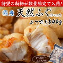 青森県産 天然 ごまふぐ から揚げ・ふぐちり用 ぶつ切り 5...