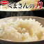 お米 5kg 熊本県産『くまさんの力』白米5kg おこめ 米 白米 ご飯 送料無料 常温 ○