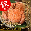 訳あり“堅蟹”北海道産「毛ガニ」2尾(合計1kg)※冷凍 s...