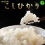 お米 5kg 新潟県産「コシヒカリ」白米5kg おこめ 米 白米 ご飯 こしひかり 送料無料 ○
ITEMPRICE