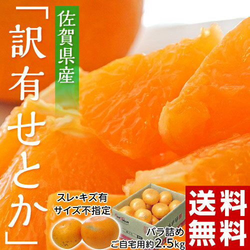 《送料無料》佐賀県産　「スレ・傷有・サイズ不指定　訳ありせとか」約2.5kg　※常温 frt ○