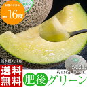 《送料無料》 熊本県八代産 超特大メロン 肥後グリーンメロン...