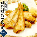 唐揚げ はたはた ハタハタ 山陰沖産 「はたはたフライ」 3...