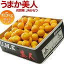 送料無料 佐賀県産みかんJAからつ うまか美人 超小粒(2S〜3S)約5kg