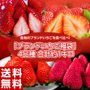 「ブランドいちご福袋」 4品種 合計約1キロ (佐賀県「いちごさん」約240g+福岡県「あ