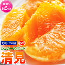 柑橘 みかん 愛媛県三崎産 訳あり シュガースポット 清見 ...